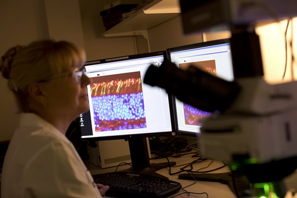 woman sitting in front of computer screen