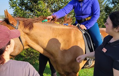 OT patient sitting on horse, putting clips in mane