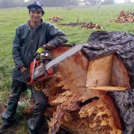 tree cutting