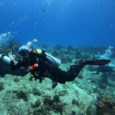 healey miller scubadiving