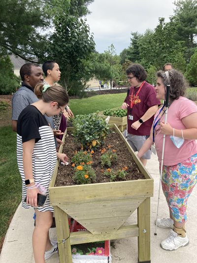 TVI students tactually exploring basil and rosemary in the sensory garden.