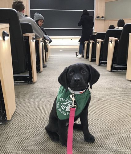 Irma in class