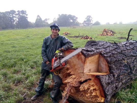 Erik Baish cutting down a tree