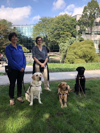 Guide dogs at Salus