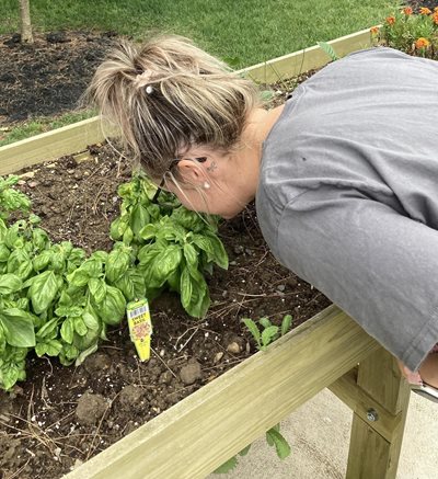 TVI students using their sense of smell to identify the basil plants in the raised flower beds.