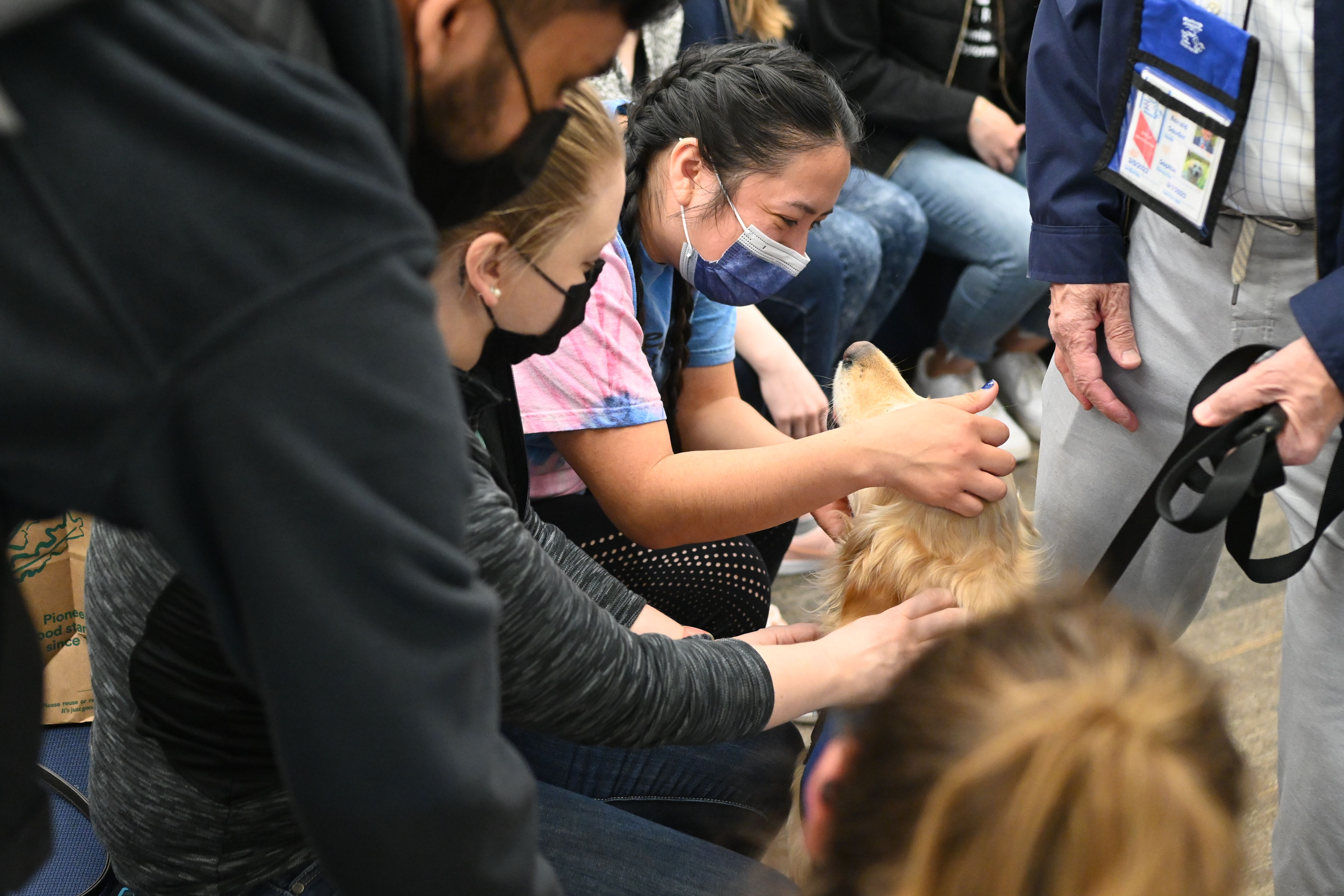 people petting a dog