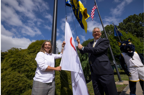 flag raising