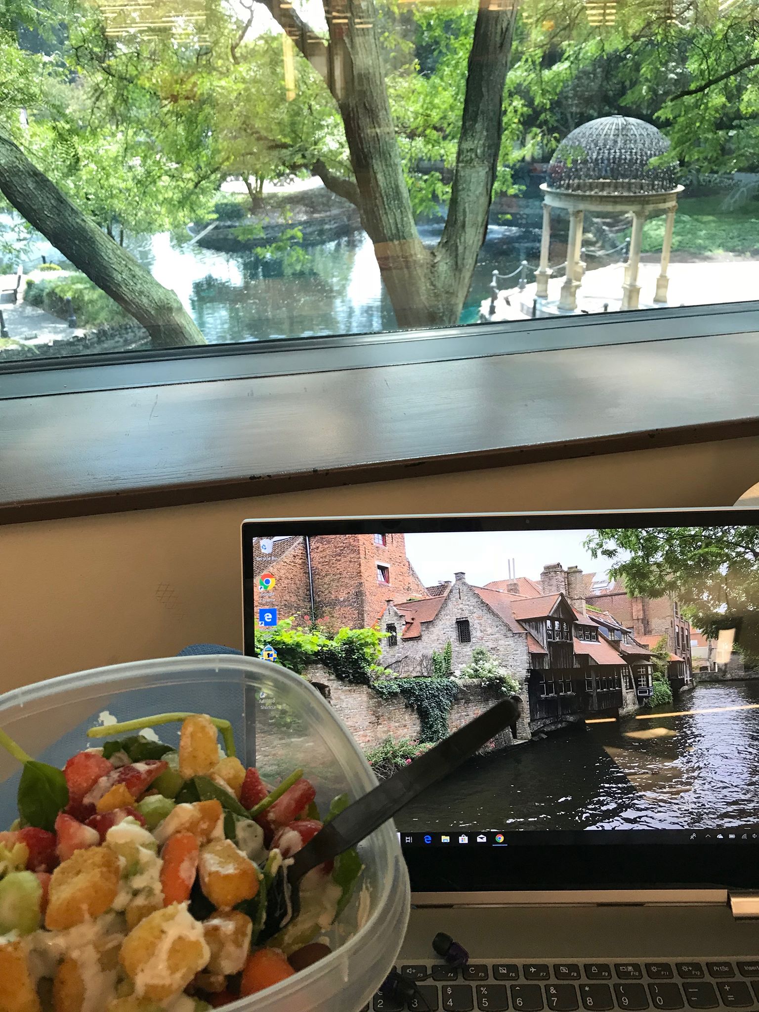 Emily's homework and food on a desk looking at the Salus pond out the window