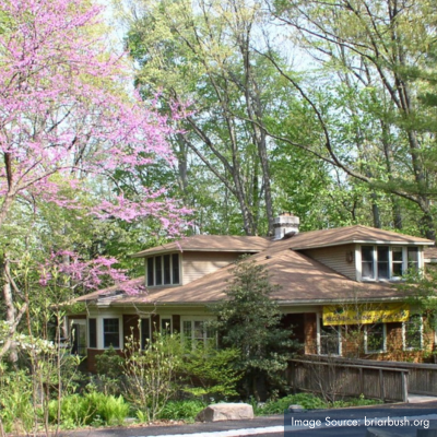 photo of cabin/lodge with trees surrounding it